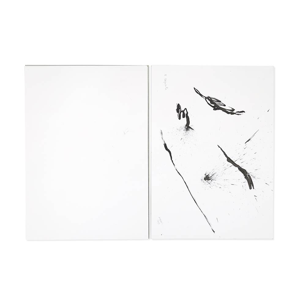 Gilberti_Jackson Pollock_interno I progetto